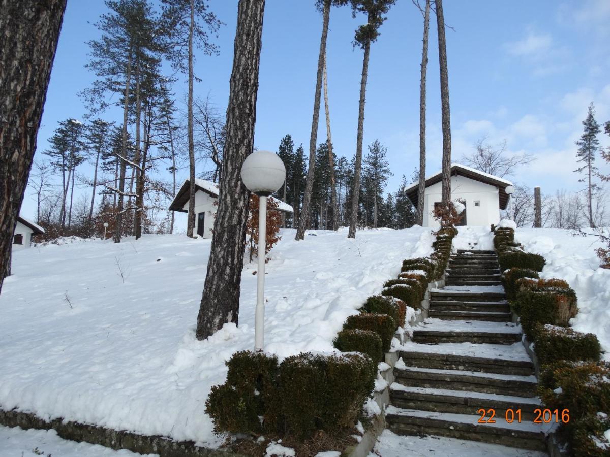 מלון טריאבנה Complex Brashlyan חדר תמונה